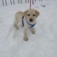 Con 3 meses - El día de la nieve cuando Torrejón quedó aislado de Madrid.